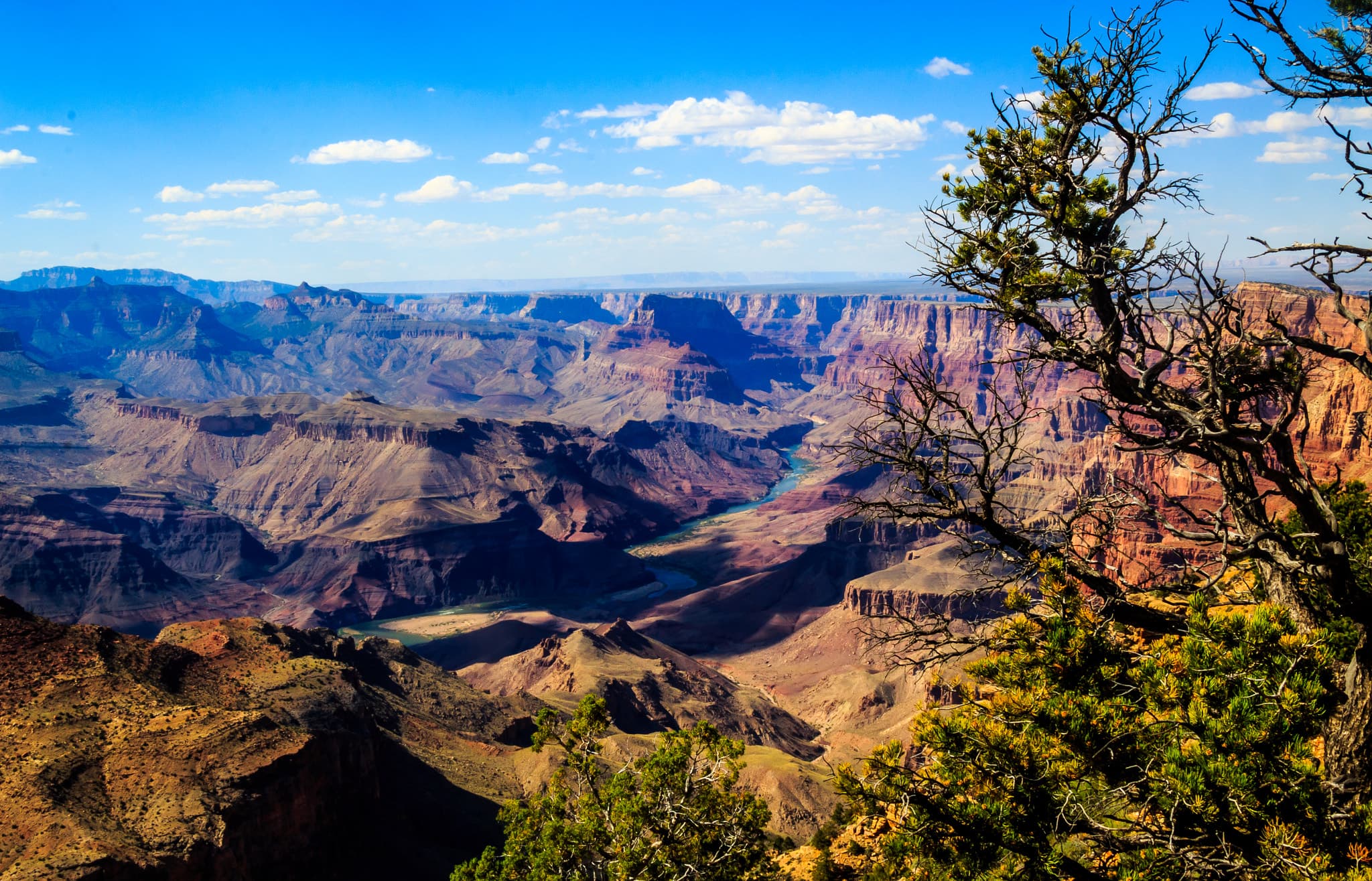 Grand Canyon, AZ